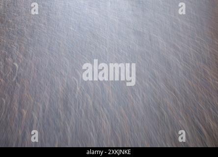 Long exposure of hay swaying in the wind, Finland Stock Photo