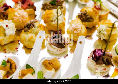 A collection of gourmet appetizers displayed elegantly on a reflective surface, showcasing culinary artistry. Stock Photo