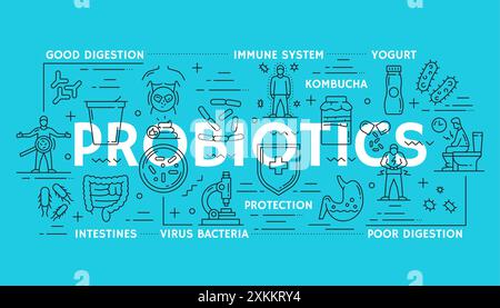 Probiotics and healthy intestine banner for stomach digestion health, vector line icons. Probiotics and yogurt food products for stomach gut, immune s Stock Vector