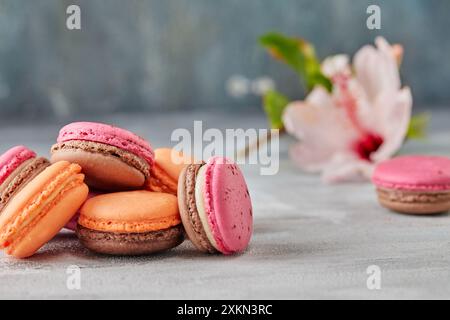 Colorful macarons stacked with flower on concrete background. Stock Photo