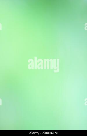 Abstract Blurred Gradient Green Color for Background and wallpaper Stock Photo