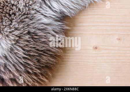 Background of a soft warm sheep fur  in white and brown or beige on a wooden floor. Closeup of wool sheep fleece skin texture on wood. Top view Stock Photo