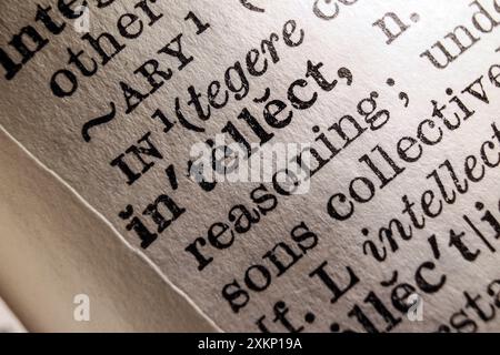 Word intellect on dictionary page, macro close-up Stock Photo