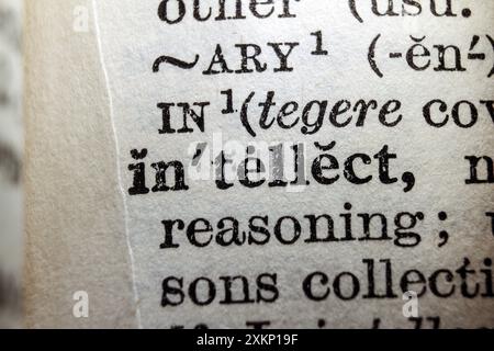 Word intellect on dictionary page, macro close-up Stock Photo