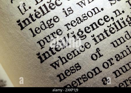 Word intelligence on dictionary page, macro close-up Stock Photo