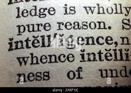 Word intelligence on dictionary page, macro close-up Stock Photo