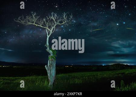 panoramic night on the mountain with a starry sky, beautiful night constellations in Indonesia Stock Photo