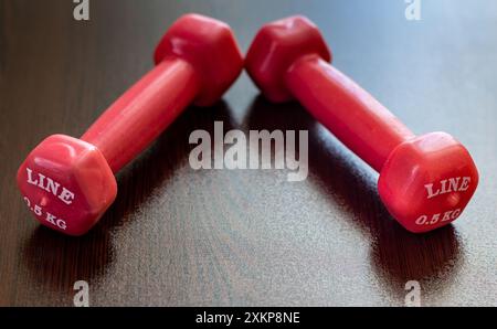 Two dumbbells. Stock Photo
