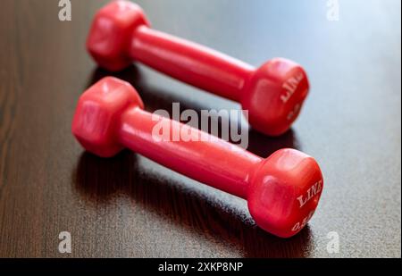Two pink dumbbells. Stock Photo