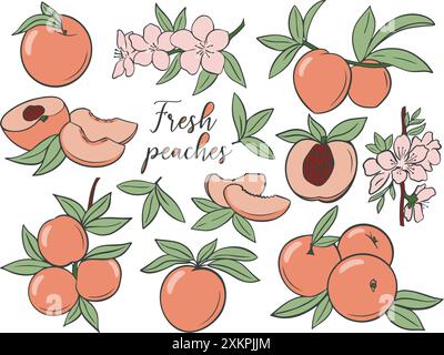 Illustration set featuring ripe peaches and peach slices with green leaves and pink flowers. Fruit harvest, vector graphics Stock Vector