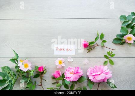 light wooden background with bright pink roses . Stock Photo