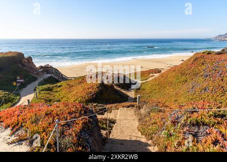 Clifftop staircase through colourful plants leading down to a sandy beach on the coast of California on a sunny autumn day Stock Photo