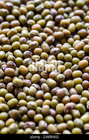 closeup of many green mung bean seeds Stock Photo