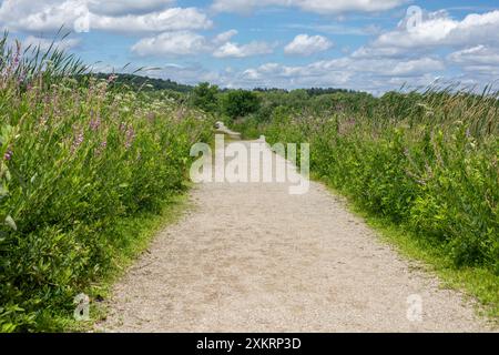 A wide gravel path cuts through greenery in the Great Meadows National Wildlife Refuge in Concord, Massachusetts, USA. Stock Photo