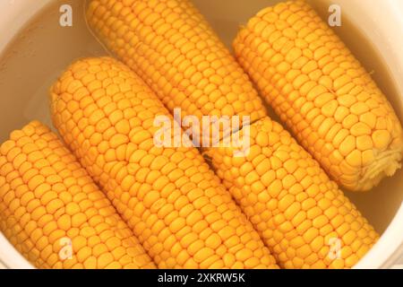 A close-up shot of yellow cobs of corn boiled in water in a pot. Stock Photo