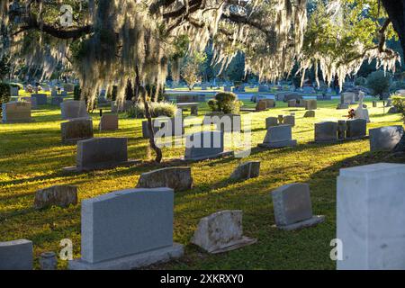 Grave tombstones in old cemetery in shade of southern oak trees on green grass in Orlando, Florida. Death concept Stock Photo