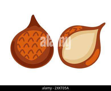 Fresh salak (snake fruit), whole and halved, showcasing its reddish-brown scaly skin and creamy white flesh. Ideal for featuring exotic fruits. Vector Stock Vector