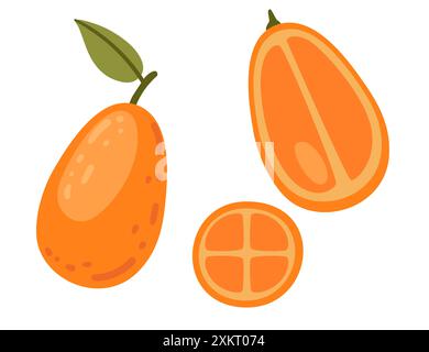 Fresh kumquat fruits, whole with leaf, halved and slice. Tropical citrus fruit. Flat vector illustration isolated on white background. Stock Vector