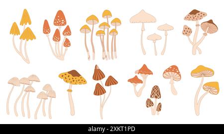 Poisonous mushrooms Stock Vector