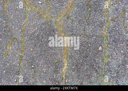Flat hard stone surface streaked with moss, for use as abstract backgrounds and textures. Stock Photo