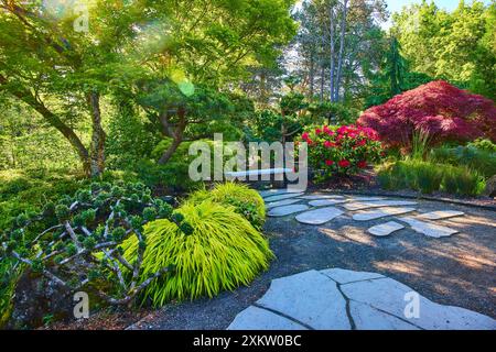 Vibrant Japanese Garden Path with Rhododendrons and Maple Aerial Tilt Stock Photo