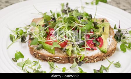 A whole wheat bread slice topped with avocado, tomato, and a variety of micro greens, all on a white plate Stock Photo