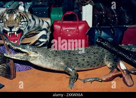 Animal Exploitation - Crocodile skin goods on sale. Stock Photo