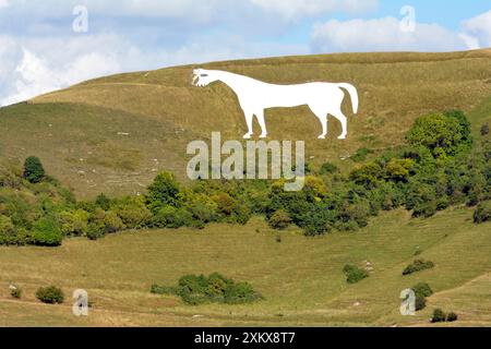 80195280 White Horse Westbury Salisbury Plain, UK.... Stock Photo