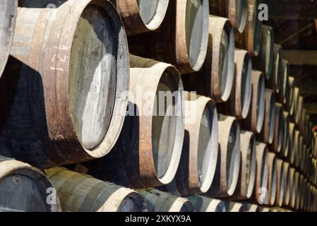 Numerous oak barrels stacked in the old cellar with aging Port wine from the vineyards Douro Valley in Portugal. Product of organic farming. Stock Photo