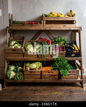 Wooden boxes full of healthy vegetables and fruits food. Flat lay Stock ...