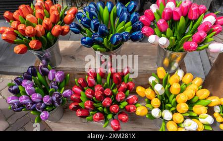 Panted wooden tulips in shop display in Volendam historic fishing village in the Netherlands Stock Photo