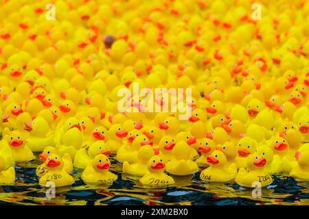 London UK. 25th July 2024. Around 3 000 rubber ducks are launched on Regent s Canal in Paddington for the annual charity rubber duck race. Now in its 17th year the race raises money