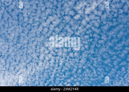 Dramatic pattern and shapes formed by a mackerel sky, cirrocumulus clouds Stock Photo