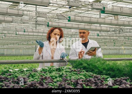 Two scientists from healthy eating research center, laboratory workers, man and woman in white coats, take samples of aqueous nutrient solution in Stock Photo