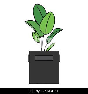Beautiful flower pot with round and long leaves in a gray angular flower pot Stock Vector