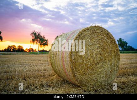 Strohernte - ein runder Strohballen vor malerischem Sonnenuntergang im Hintergrund. Erntezeit - runde Strohballen liegen auf einem Stoppelacker mit orangem Sonnenuntergang im Hintergrund. Region Weser-Ems Niedersachsen Deutschland *** Straw harvest a round bale of straw in front of a picturesque sunset in the background harvest time round bales of straw lie on a stubble field with an orange sunset in the background Weser Ems region Lower Saxony Germany Stock Photo