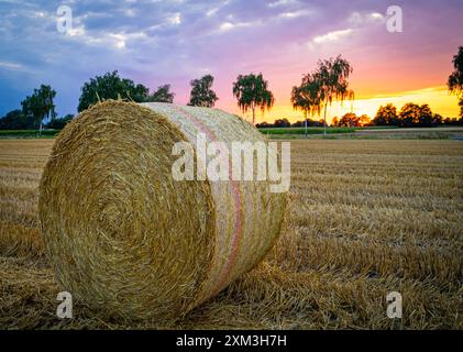 Strohernte - ein runder Strohballen vor malerischem Sonnenuntergang im Hintergrund. Erntezeit - runde Strohballen liegen auf einem Stoppelacker mit orangem Sonnenuntergang im Hintergrund. Region Weser-Ems Niedersachsen Deutschland *** Straw harvest a round bale of straw in front of a picturesque sunset in the background harvest time round bales of straw lie on a stubble field with an orange sunset in the background Weser Ems region Lower Saxony Germany Stock Photo