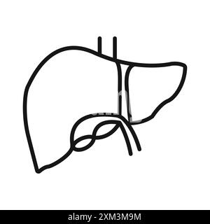 Black silhouette of human digestive system, graphic illustration of ...