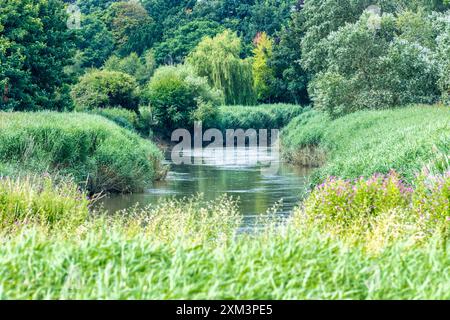 The River Stour at Sandwich in Kent, England Stock Photo