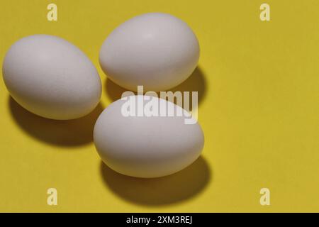 Close-up image of three chicken white eggs on a yellow background. Stock Photo