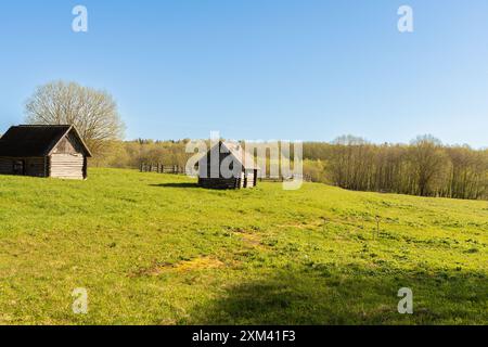 Two wooden village houses on a picturesque green meadow against the background of the forest. High quality photo Stock Photo