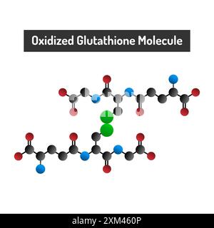 glutathione protocol subq Glutathione IV Benefits for Athletes: Performance Support