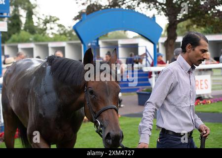 Windsor, Berkshire, UK. 22nd July, 2024. Horse Warren Hill ridden by jockey Aidan Keeley wins the British Stallion Studs EBF Fillies' Handicap Stakes (Class 4) at Royal Windsor Racecourse in Windsor, Berkshire. Owner Crager, Hassiakos, Moorhead, Collins & PTR, Trainer Roger Varian, Newmarket, Breeder Lynch Bages, Camas Park & Summershill B/S, Sponsor Tattersalls. Credit: Maureen McLean/Alamy Stock Photo