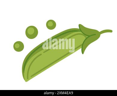 Fresh green pea in pod, with separated three peas. Healthy natural vegetables product. Flat vector illustration isolated on white background. Stock Vector