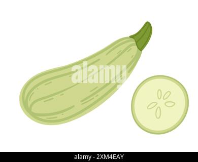 Fresh zucchini, depicted whole and sliced to show its green skin and white flesh. Suitable for garden produce features, healthy recipes, and nutrition Stock Vector