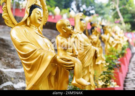 Golden Buddha statues along the stairs leading to the Ten Thousa Stock Photo