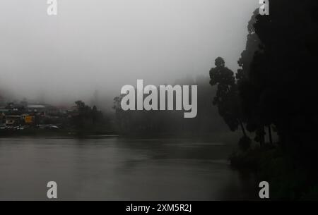 fog and mist covered dark pine forest and lake at mirik hill station in monsoon season, himalayan foothills in west bengal in india Stock Photo