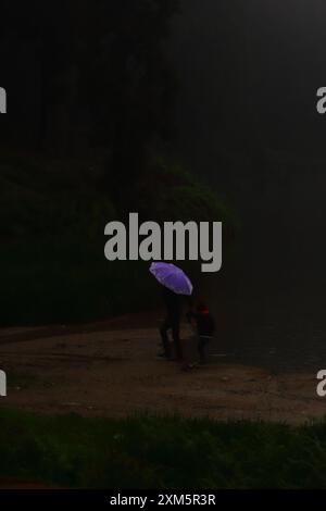 fog and mist covered dark pine forest and lake at mirik hill station in monsoon season, himalayan foothills in west bengal in india Stock Photo