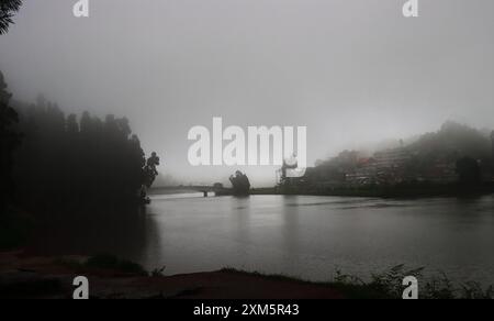 fog and mist covered dark pine forest and lake at mirik hill station in monsoon season, himalayan foothills in west bengal in india Stock Photo