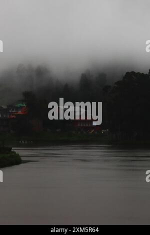 fog and mist covered dark pine forest and lake at mirik hill station in monsoon season, himalayan foothills in west bengal in india Stock Photo